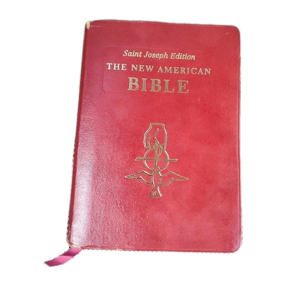 Saint Joseph Edition The New American Bible NAB Large Type Illustrated Leather